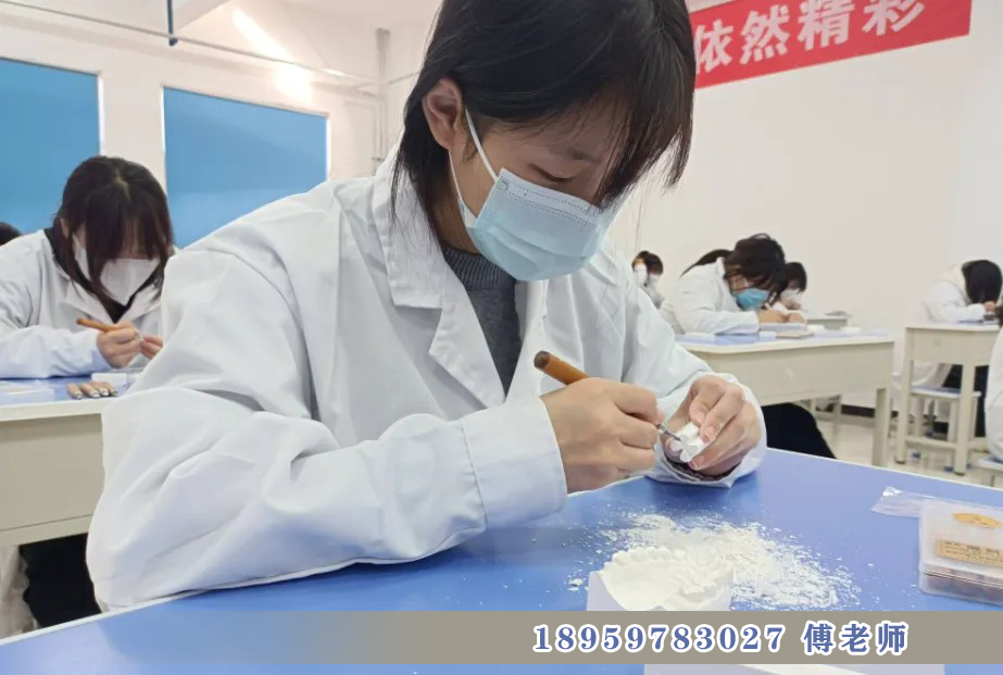 口腔义齿制造专业介绍