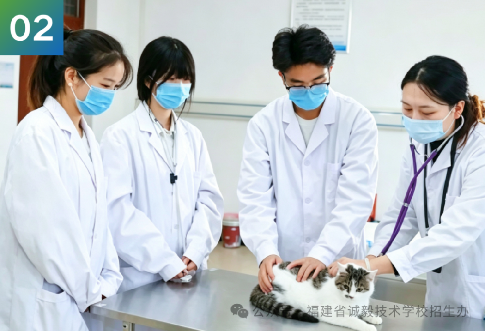2026秋季招生丨福建省诚毅技术学校预报名中